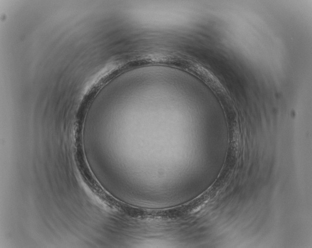 X0000088380730200706121144