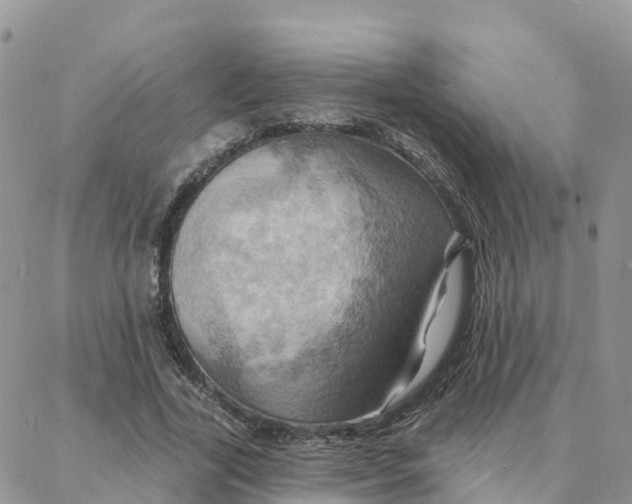 X0000088380731200706121144