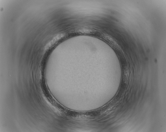 X0000088380734200706121144