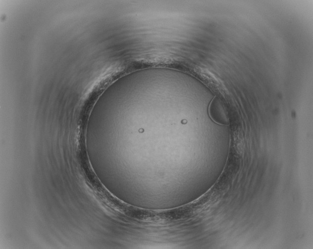 X0000088380735200706121144