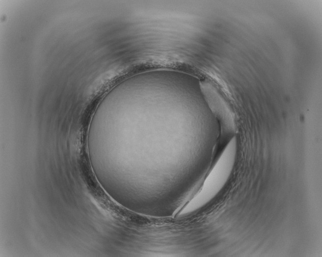 X0000088380736200706121144