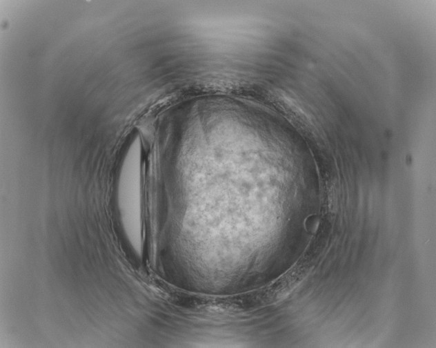 X0000088380737200706121144