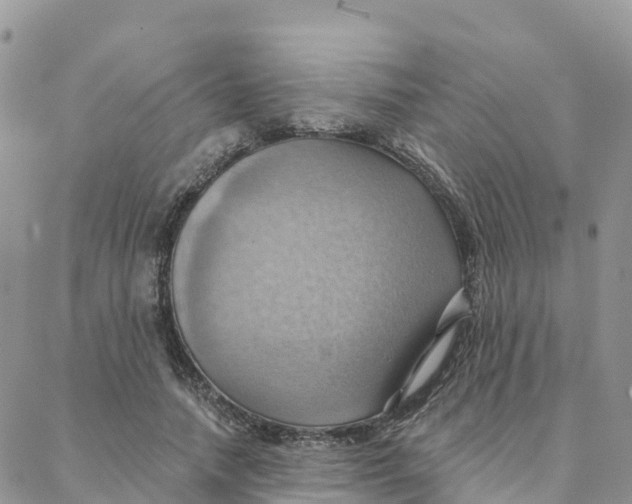 X0000088380738200706121144