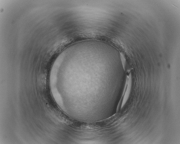 X0000088380739200706121144