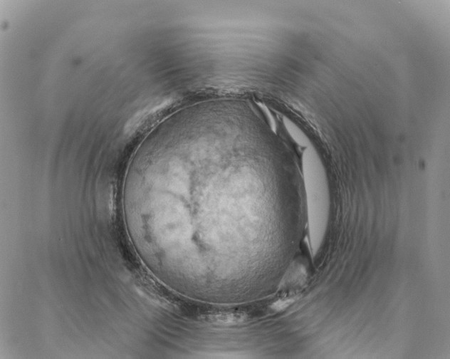 X0000088380740200706121144