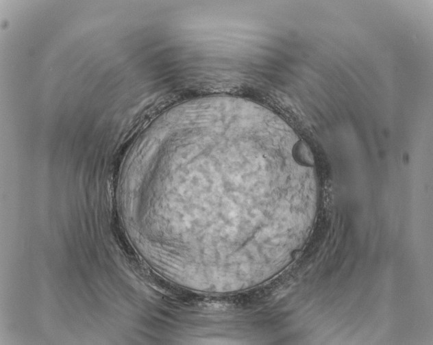 X0000088380741200706121144