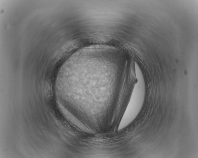 X0000088380743200706121144