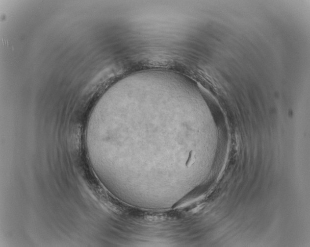 X0000088380744200706121144