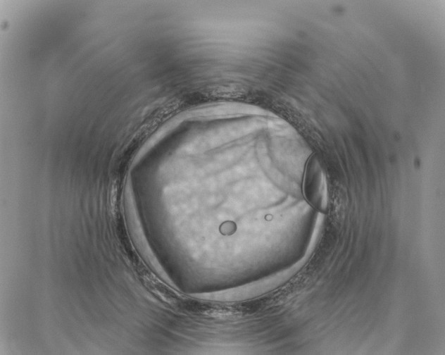 X0000088380745200706121144