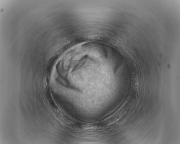 X0000088380746200706121144