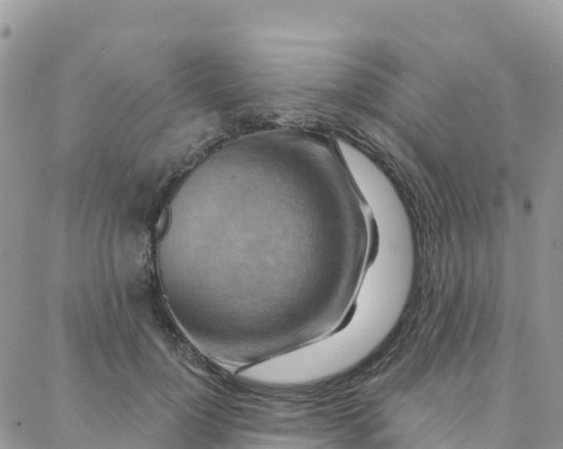 X0000088380748200706121144