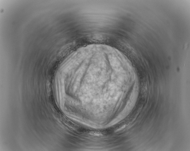 X0000088380749200706121144