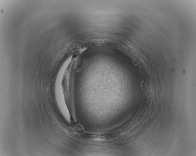 X0000088380750200706121145