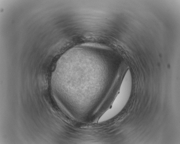 X0000088380751200706121145