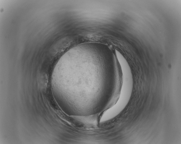 X0000088380752200706121145