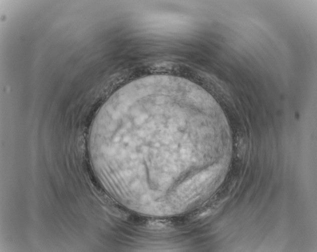 X0000088380753200706121145