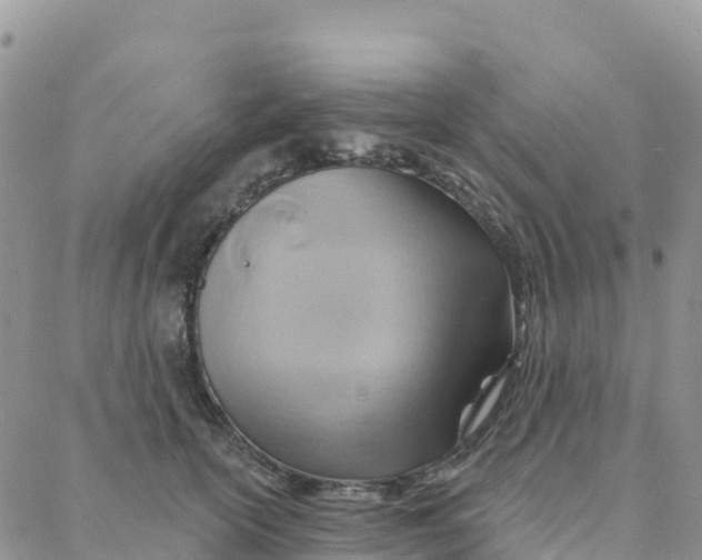 X0000088380754200706121145