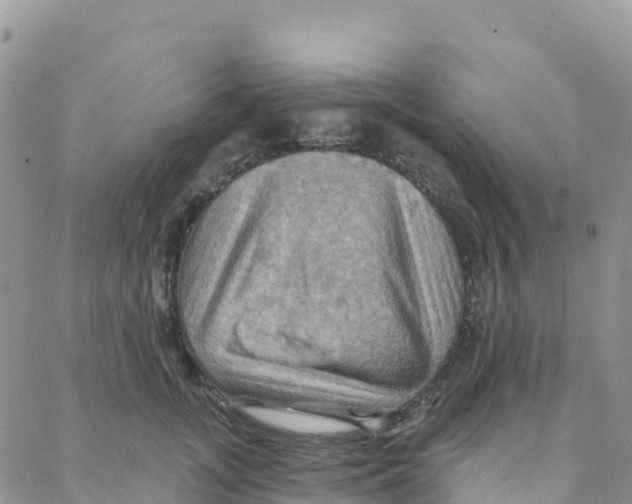 X0000088380755200706121145