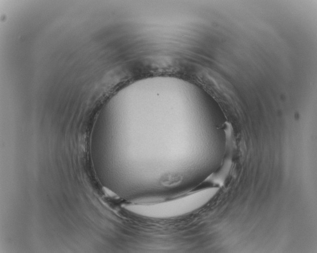 X0000088380756200706121145