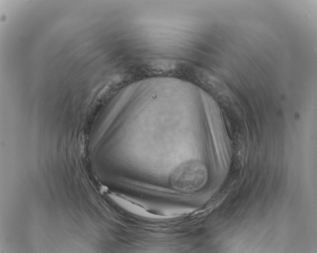 X0000088380758200706121145