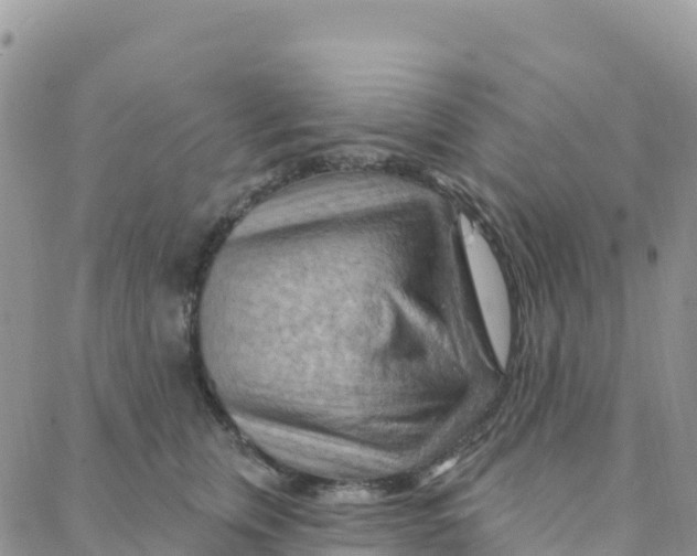 X0000088380759200706121145