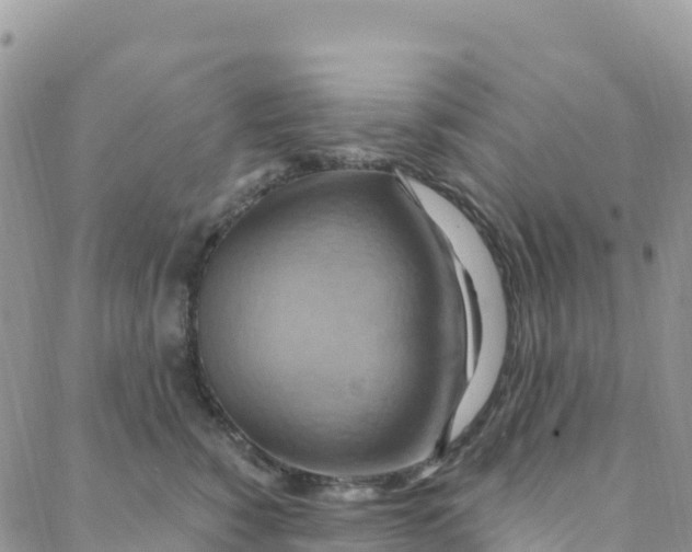 X0000088380760200706121145