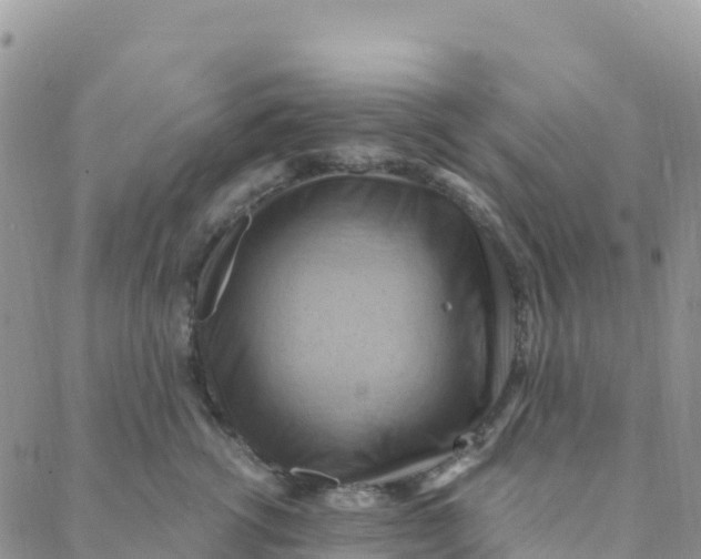 X0000088380762200706121145