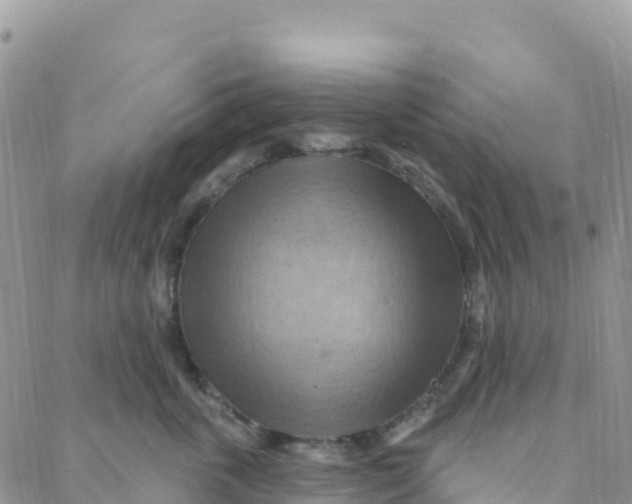 X0000088380763200706121145