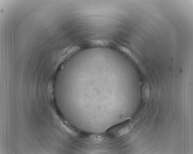 X0000088380764200706121145