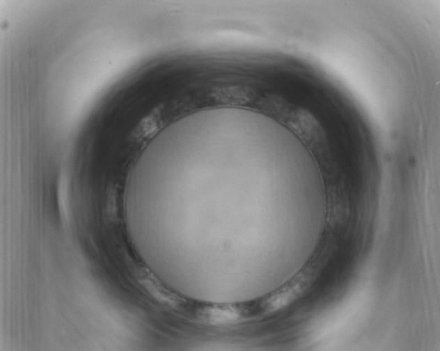 X0000088380765200706121145