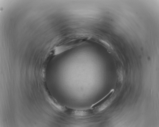 X0000088380766200706121145