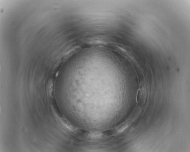 X0000088380767200706121145