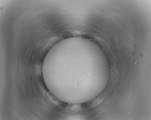 X0000088380768200706121145