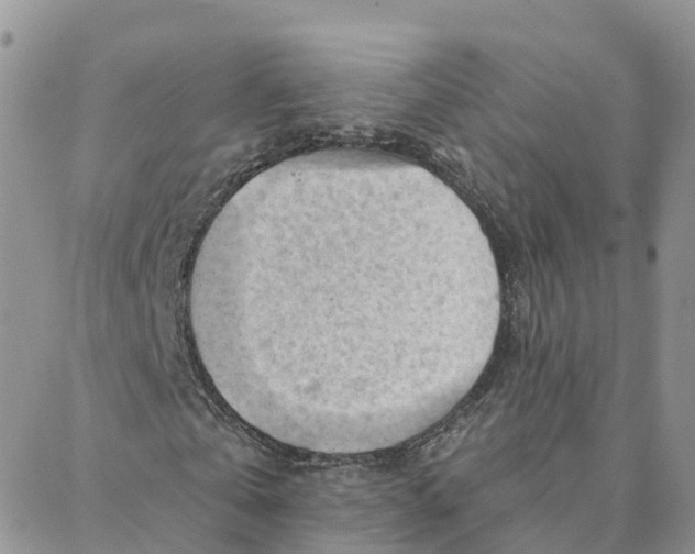 X0000088380769200706121144