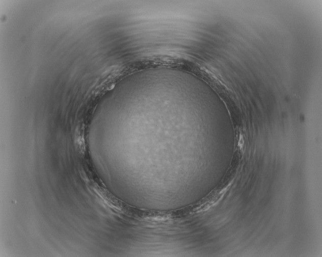 X0000088380771200706121144