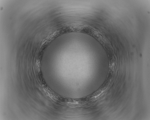 X0000088380772200706121144