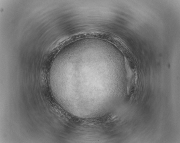 X0000088380773200706121144