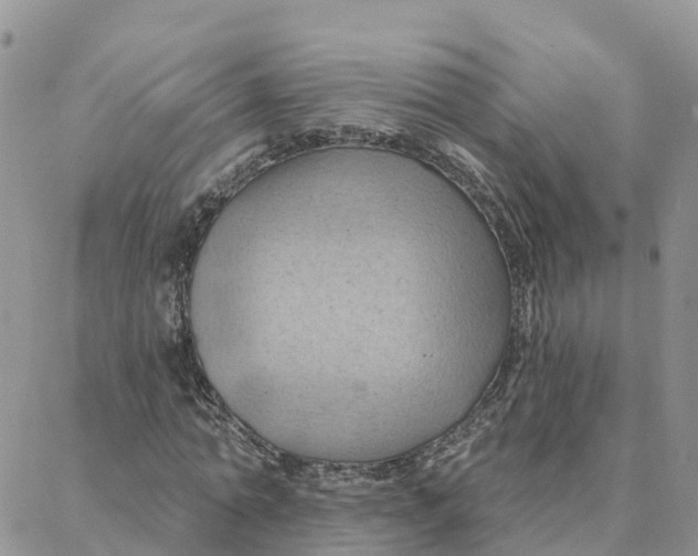 X0000088380774200706121144