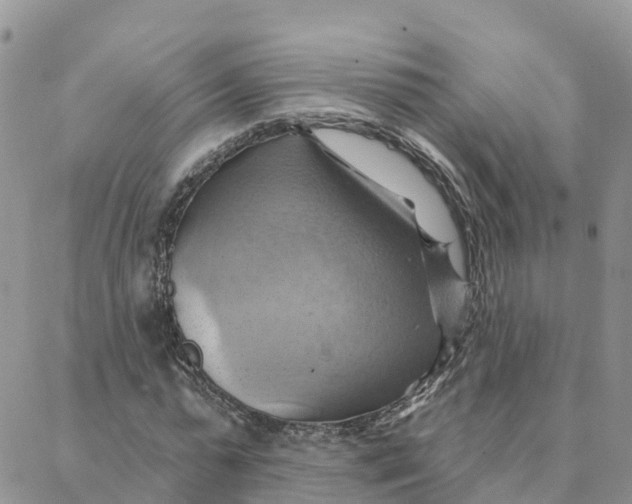 X0000088380775200706121144