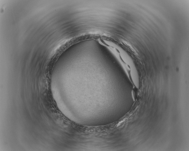 X0000088380776200706121144