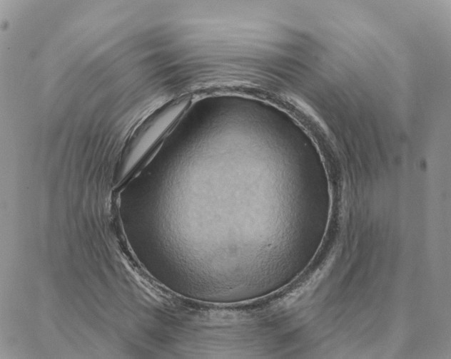 X0000088380777200706121144