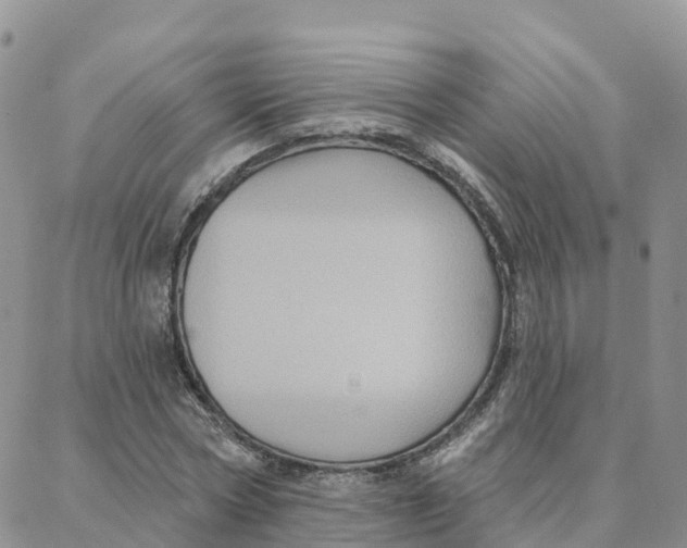 X0000088380778200706121144