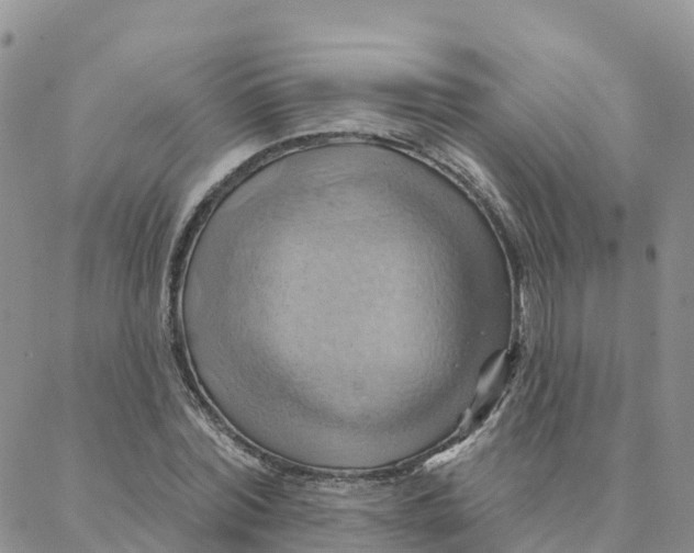 X0000088380780200706121144