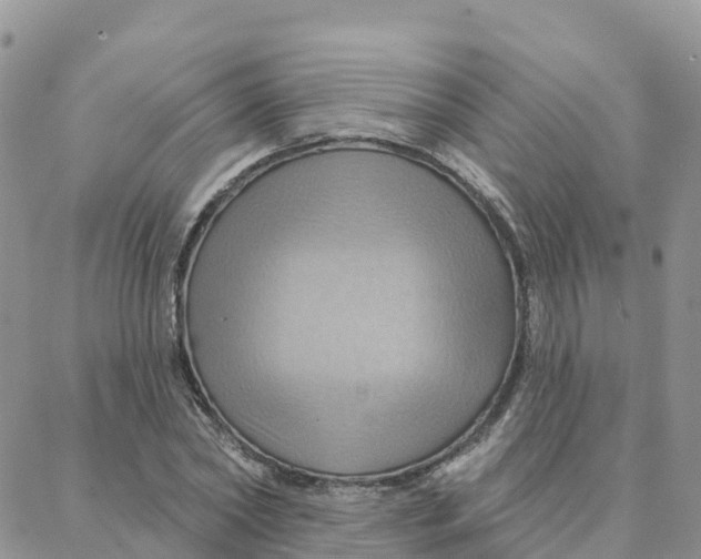 X0000088380782200706121144