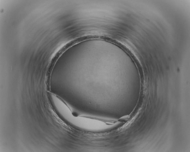 X0000088380783200706121144