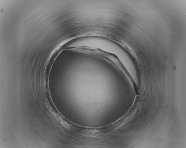 X0000088380784200706121144