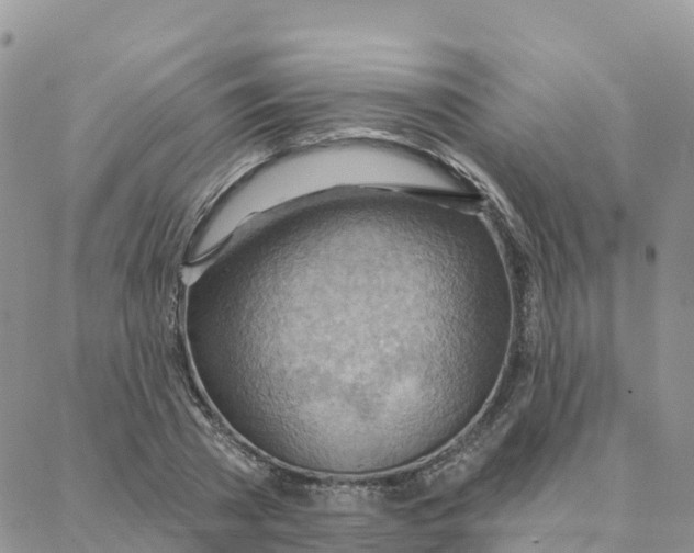 X0000088380785200706121144