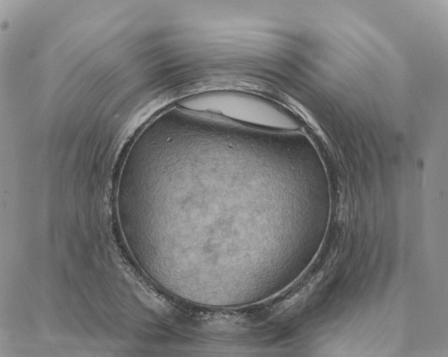 X0000088380786200706121144