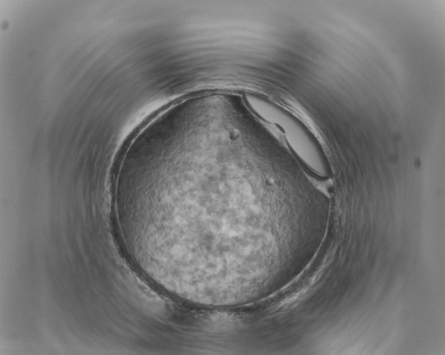 X0000088380787200706121144