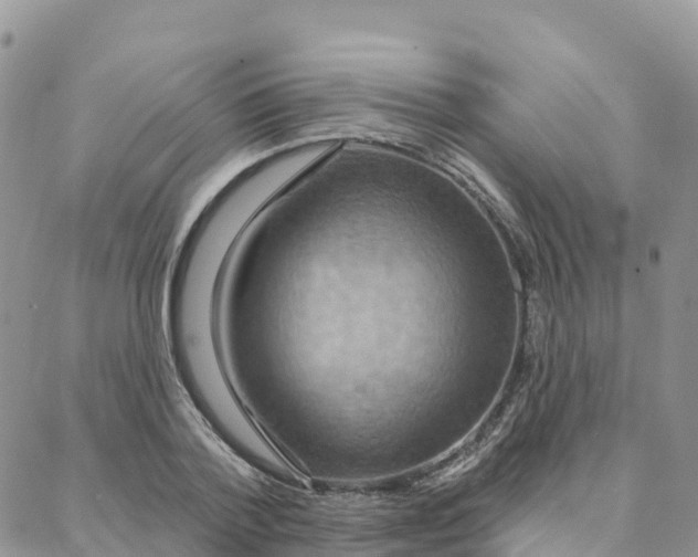 X0000088380788200706121144